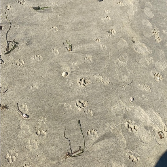 Meet your Posher, Katherine - Picture 1 of 1